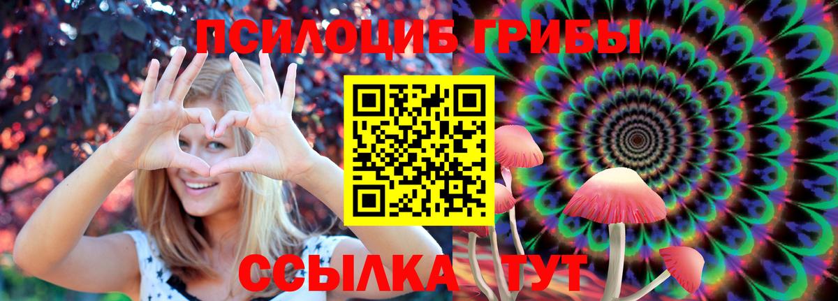 Чайковский  Псилоцибиновые грибы Psilocybe  Вход с VPN  Псилоцибиновые грибы MAGIC MUSHROOMS 